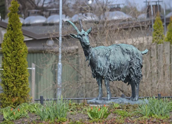 Scultura in bronzo di una capra, Helsinki, Finlandia — Foto Stock