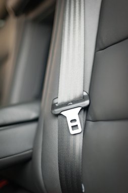 seat belt interior