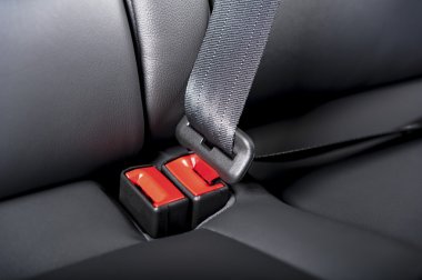 seat belt interior