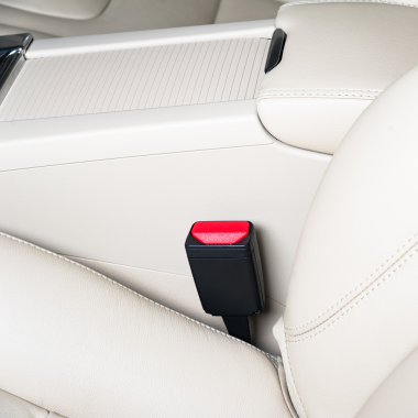 seat belt interior