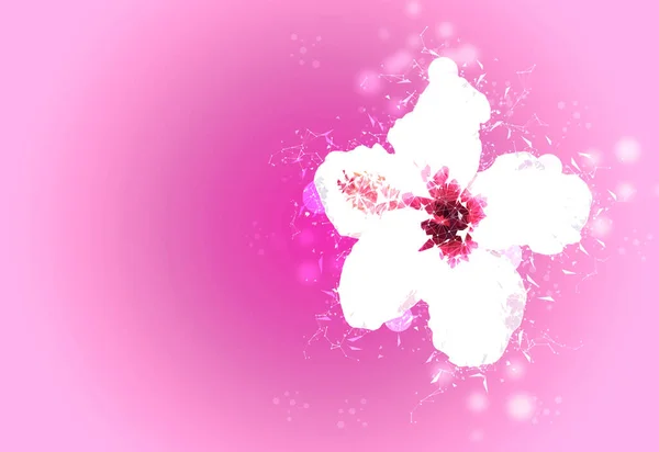 Ilustración Digital Flor Hibisco Hecha Partículas Sobre Fondo Rosa — Foto de Stock