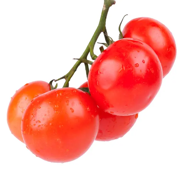 群的红樱桃西红柿 — 图库照片
