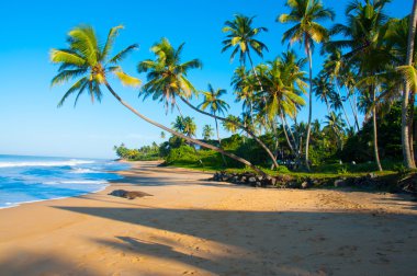 Sri Lanka 'da el değmemiş tropik plaj
