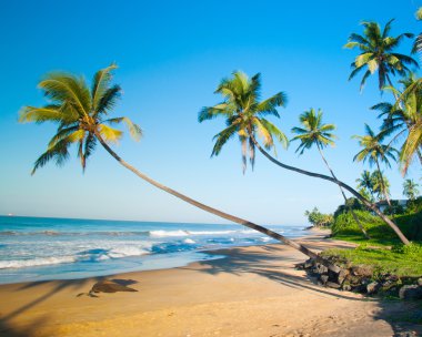 Sri Lanka 'da el değmemiş tropik plaj