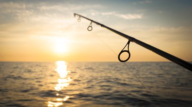 spinning rods in front of sea water