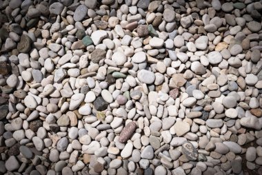 Kuru yuvarlak reeble taşları