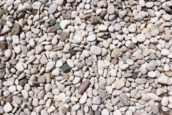 Pedras reeble redondas secas — Fotografia de Stock