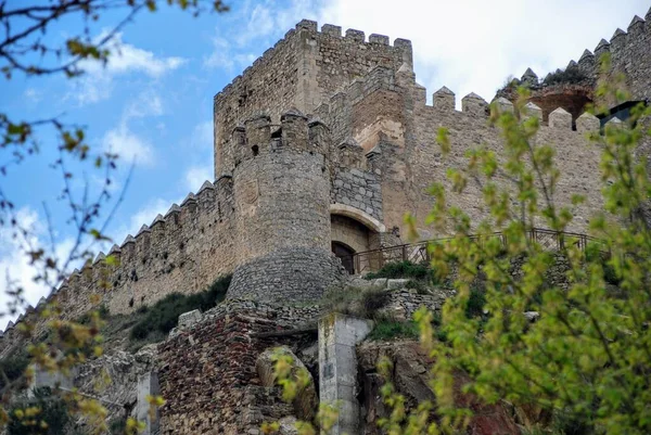 Schloss Almansa Almansa Provinz Albacete Kastilien Mancha Spanien — Stockfoto