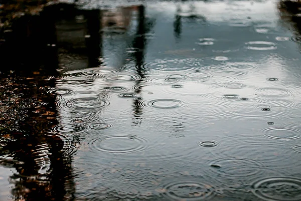 Dešťové Kapky Padají Kaluže Vody Opouštějící Malé Kruhové Vlny Během — Stock fotografie