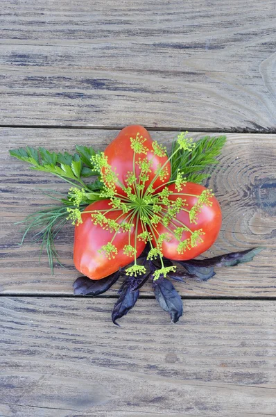 Tomatoes and herbs. — Stock Photo, Image