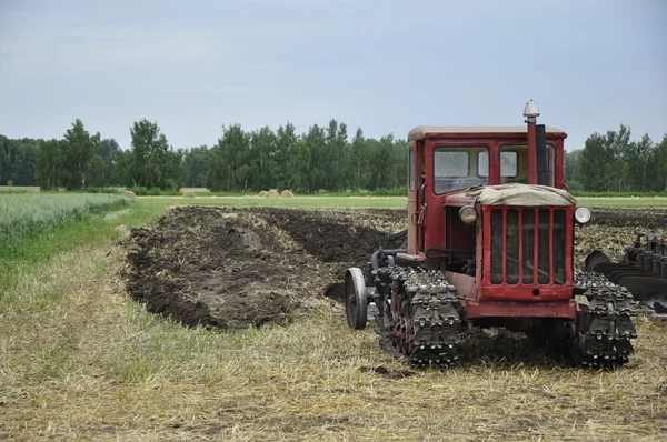 Trator no campo. — Fotografia de Stock