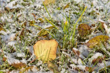 Çimlere kar yağıyor..