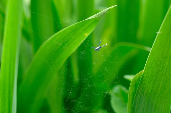 Small helicopter among the giant plants. — Stock Photo, Image