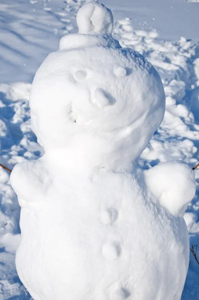 Vrolijke sneeuwpop. — Stockfoto