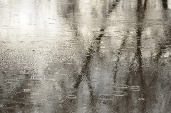 Chuva de Primavera. — Fotografia de Stock