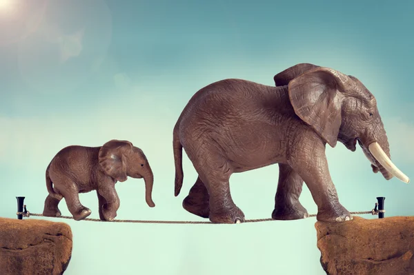 Mãe e bebê elefante em uma corda bamba — Fotografia de Stock