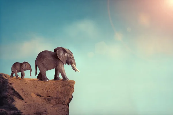 Wyginięcie koncepcja słoń rodziny na krawędzi klifu — Zdjęcie stockowe