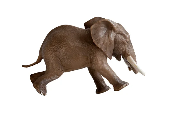 Elephant running isolated — Stock Photo, Image