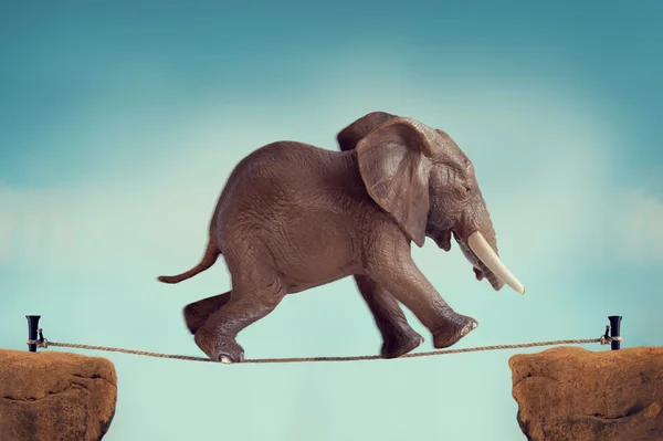 Elephant running across a tightrope — Stock Photo, Image