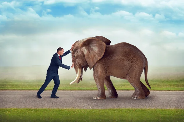 Business challenge elephant obstacle — Stock Photo, Image