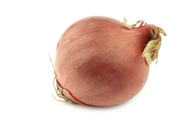 One pink onion — Stock Photo, Image