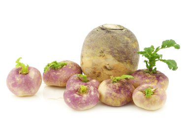 Taze hasat bahar şalgam (Brassica rapa)