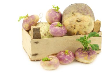 Taze hasat bahar şalgam (Brassica rapa)