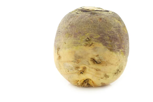 One fresh turnip(Brassica rapa rapa) — Stock Photo, Image