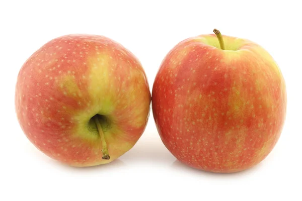 Taze tatlı küçük elma — Stok fotoğraf