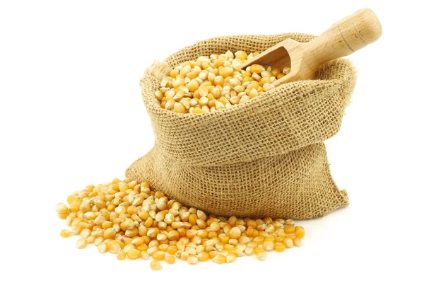 Sárga kukorica, egy zsákvászon zacskó — Stock Fotó