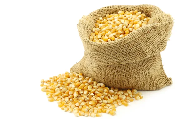 Sárga kukorica, egy zsákvászon zacskó — Stock Fotó