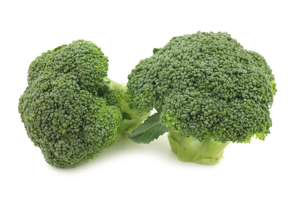 Fresh small broccoli — Stock Photo, Image