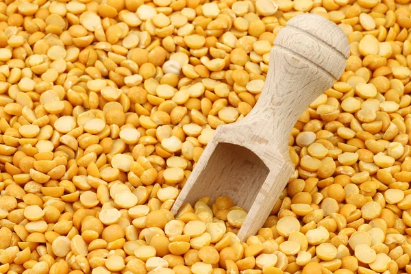 Yellow corn grain in a burlap bag with an aluminum scoop Stock Photo by  ©tpzijl 11354513