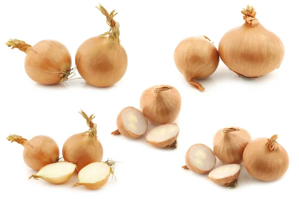 Freshly Harvested Shallots Some Cut Ones White Background — Φωτογραφία Αρχείου