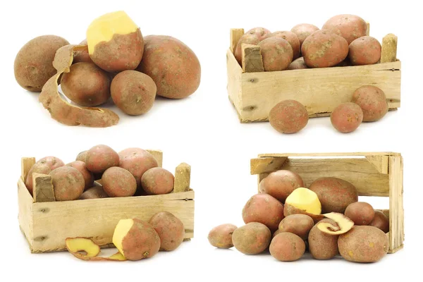 Frisch Geerntete Holländische Kartoffeln Namens Bildtstar Einer Holzkiste Auf Weißem — Stockfoto