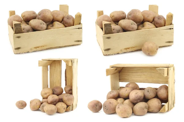 Свіжі Збирають Картоплю Koopmans Blue Дерев Яній Ящику Білому Тлі — стокове фото