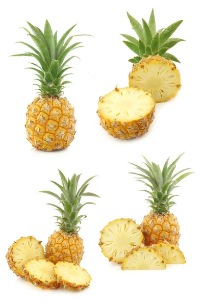 Mini Pineapple Fruit White Background — Φωτογραφία Αρχείου