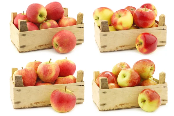 新鲜的红黄苹果 新鲜的荷兰苹果品种 Kanzi 新鲜的荷兰苹果品种 Dalinco 和新鲜的Braeburn苹果在一个白色背景的木板条箱 — 图库照片