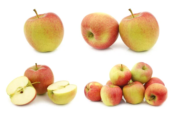 Fresh Maribelle Apples White Background — Stock Photo, Image