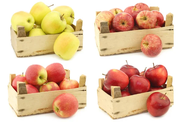 新鲜的黄色苹果 甜的小苹果 Dalinco 的新荷兰苹果品种以及白色背景的木制板条箱中新鲜美味的红Jonagold苹果 — 图库照片