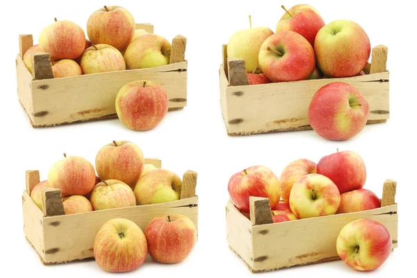 新鲜的烹调苹果 左边两个 新鲜的玛丽贝尔苹果和白色背景的木箱中的 蜂蜜味 — 图库照片