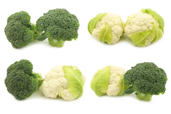 Färsk Blomkål Och Broccoli Vit Bakgrund — Stockfoto