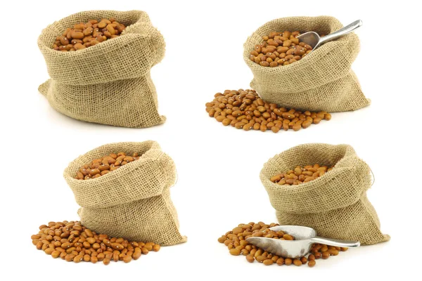 Brown Beans Burlap Bag White Background — Stock Photo, Image