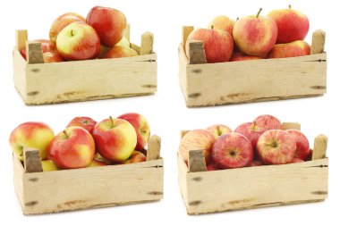 Taze Braeburn elmaları, 