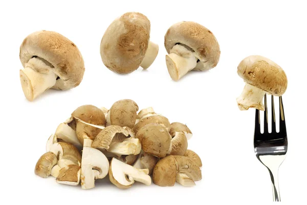 Funghi Champignon Uno Una Forchetta Sfondo Bianco — Foto Stock