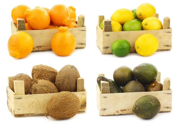 Minneola Tangelo Fruit Mixed Lime Lemon Coconuts Avocado Wooden Crate — Stock Photo, Image