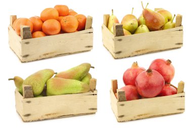 Taze mandalina, renkli 