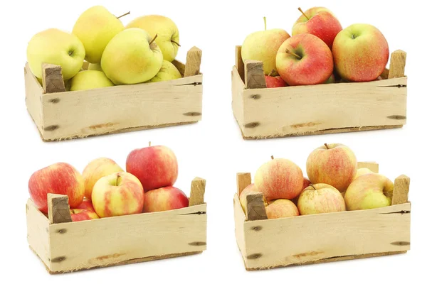 Fresh Yellow Apples Maribelle Apples Honey Crunch Apples Cooking Apples — Stock Photo, Image