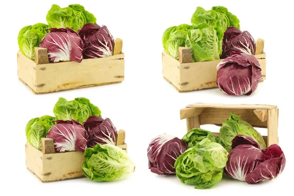 Red Radicchio Lettuce Green Little Gem Lettuce Wooden Box White — Stock Photo, Image