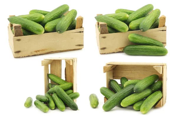 Fresh Green Baby Cucumbers Wooden Crate White Background — Stock Photo, Image
